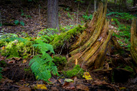 WATERFALLS-18
