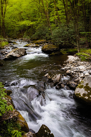 GSMNP (4 of 12)