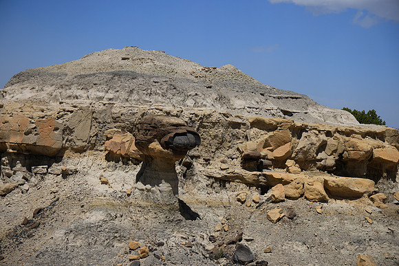 New Mexico Geology