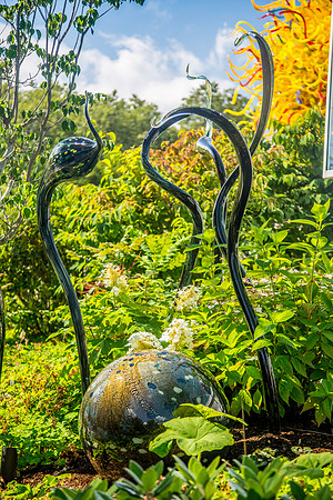 GLASS BLOWING AND CHIHULY ART-40
