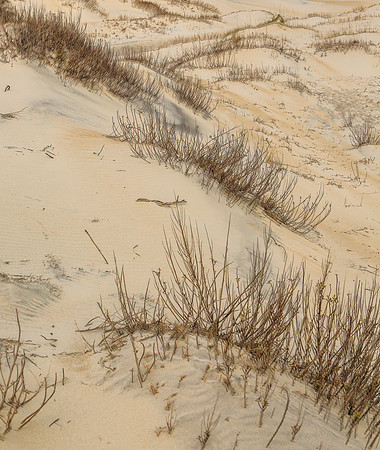 SEASCAPES_OB-10