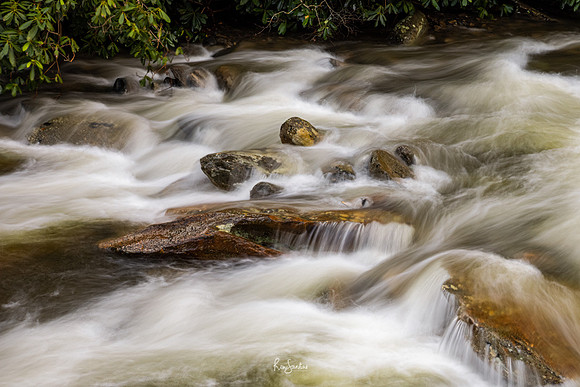 GSMNP-23