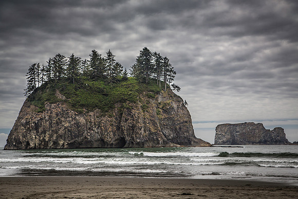 OREGON COAST-1