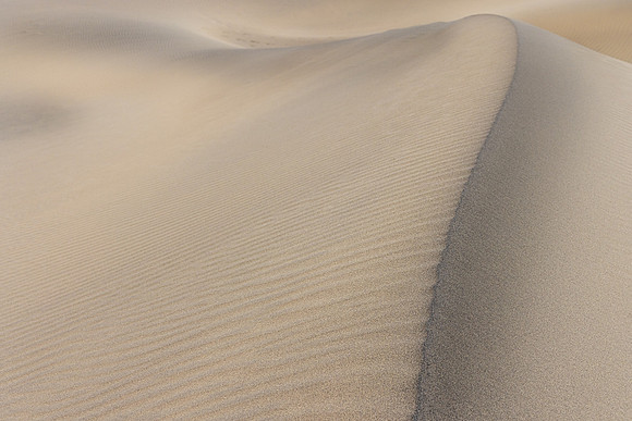 A Curve in the Dunes