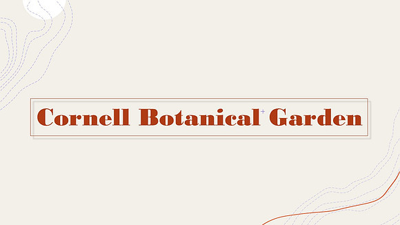 Slide9